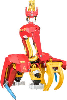 Bild eines Forsterntekopfs Detailaufnahme eines Forsterntekopfs