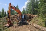 Baggerprozessor Doosan DX210