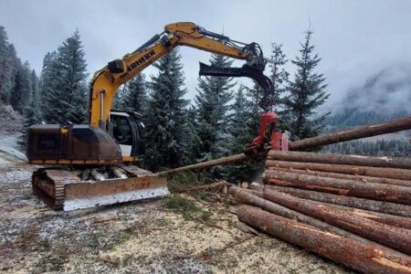 Kettenbagger LIEBHERR R920 mit WOODY WH6-1 mit Rückewinde